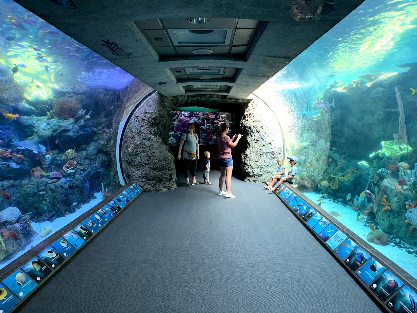 Aquarium of the Pacifi